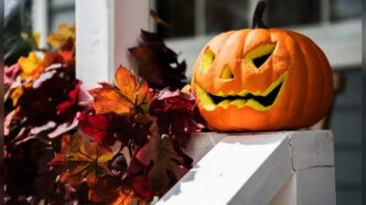 Le mani ferite dall’intaglio delle zucche: i consigli dei chirurghi per Halloween