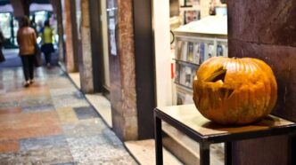 Zucca, cosa cambia con la cottura: aromi diversi e antiossidanti più biodisponibili