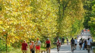 Autunno e fame: Fnomceo, nessun aumento automatico dell’appetito
